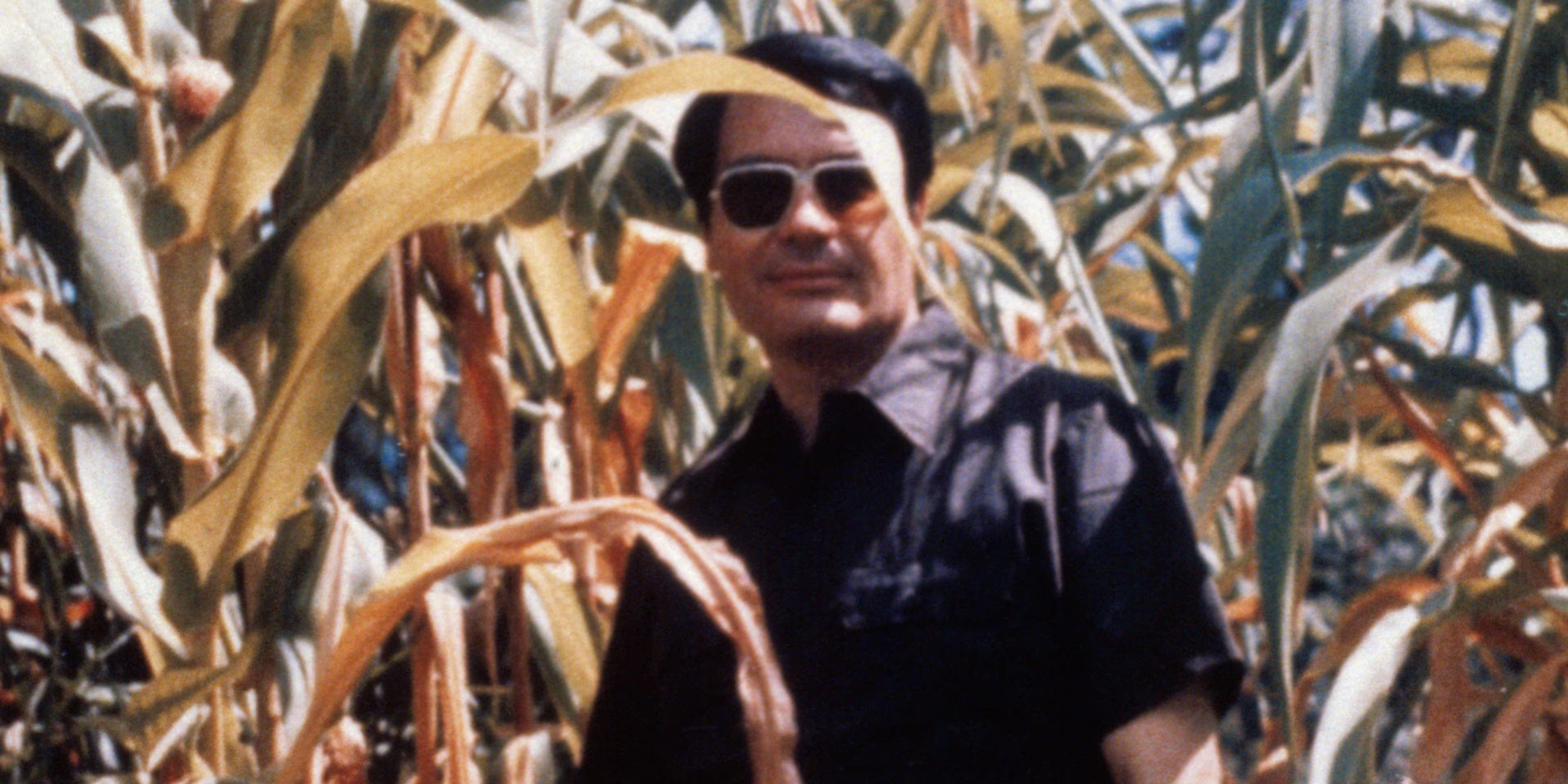 Manifesting Mimics the Serpent’s Promise: “You Shall Be as Gods”